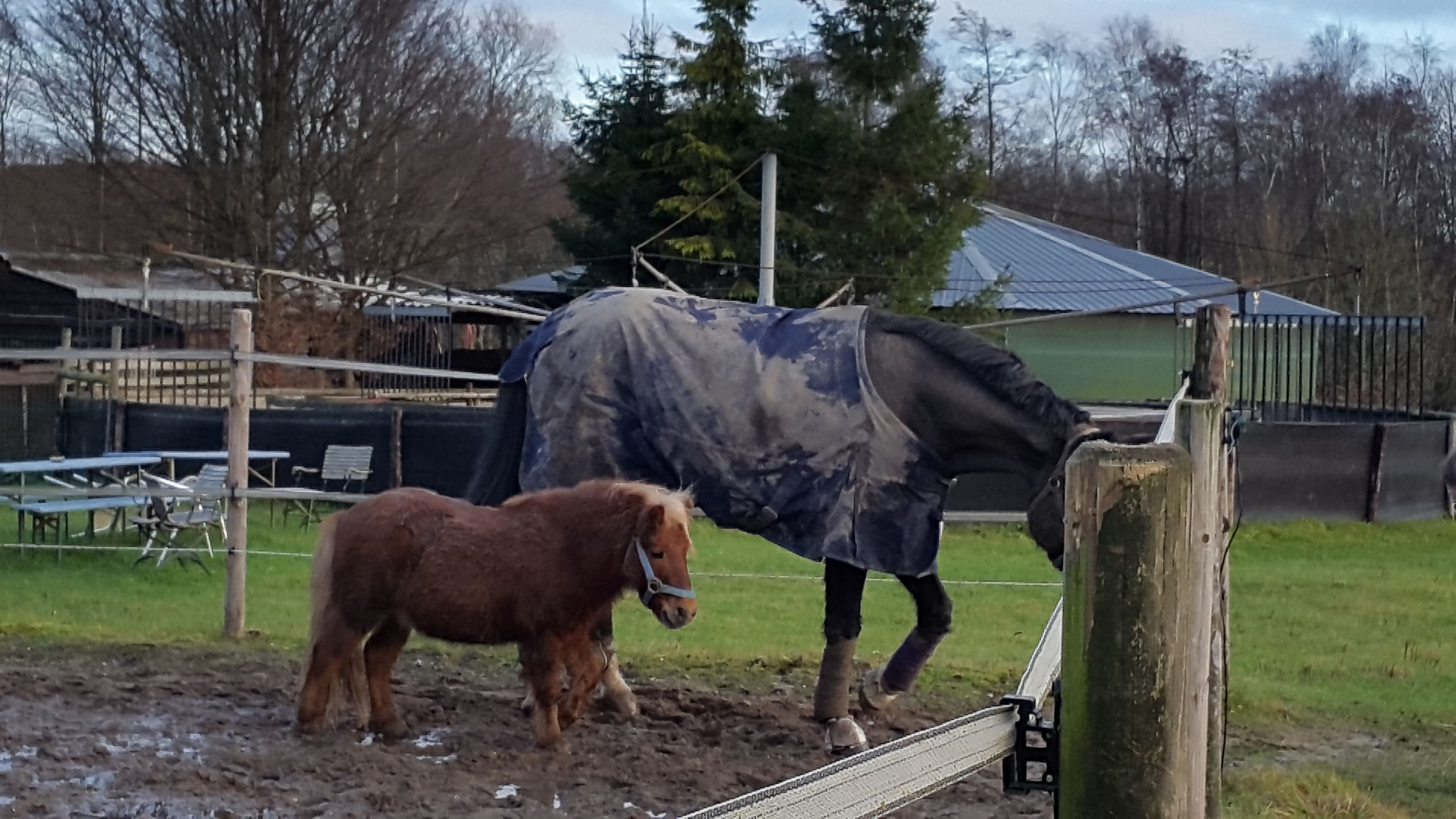 20161215 144837 iloveimg compressed